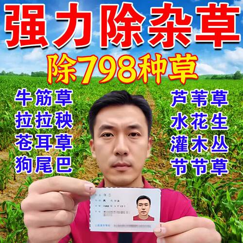 菜地苗后除杂i草专用玉米地苗后除烂草红薯芝麻不伤苗速效灭芦苇b