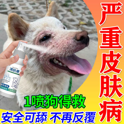 狗狗蠕形螨狗嘴红下巴溃猫咪烂瘙眼周真菌掉毛疥螨癣长皮肤痒喷剂
