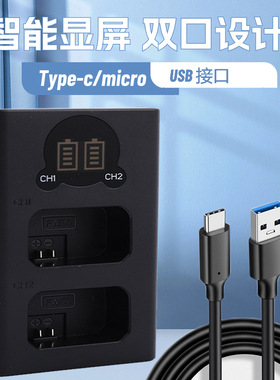 适用松下DMW-BLK22微单数码相机充电器双充S5 S5M2 DC-S5 DC-S5M2 S5II S5IIX GH6 GH6LGH5M2 S5II电池充电器