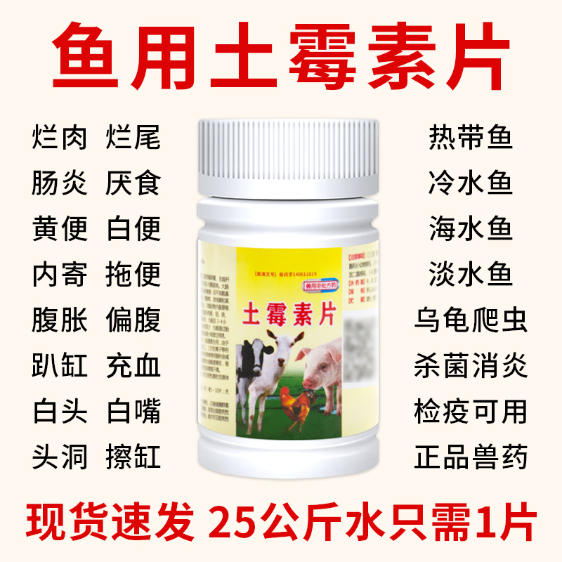 鱼龟土霉素肠炎肺炎腐皮