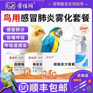 鹦鹉肺炎雾化套餐鸟感冒咳嗽支气管炎喘气呼吸道感染鸟用雾化器箱
