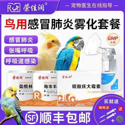 鸟肺炎感冒喘气雾化药顺丰发