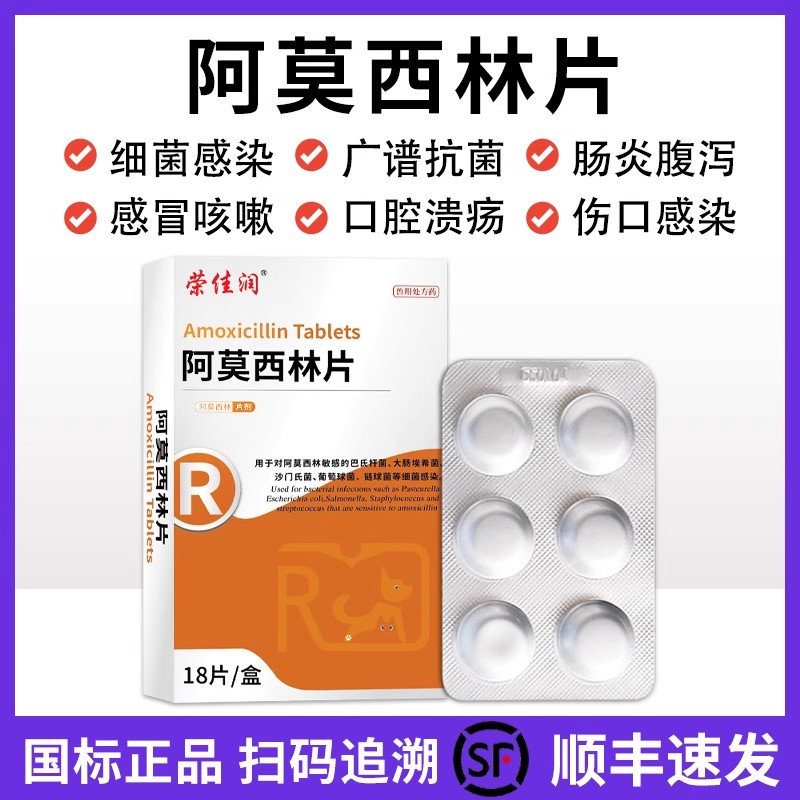 阿莫西林感冒药荣佳润狗狗