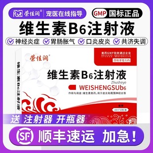 维生素b6注射用液兽用异烟肼中毒狗狗解毒药神经炎狗猫呕吐止吐药