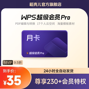 PPT稻壳充值PDF转换 WPS超级会员Pro套餐月卡31天季 卡93天官方正版