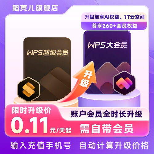 【全时长升级】  WPS超级会员升级WPS大会员 享260+权益 官方