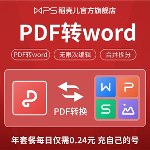 ppt 图片转换编辑官方正版 PDF套餐31天pdf转word WPS 翻译