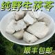 正宗野生茯苓块茯神中药材无硫正品 纯天然深山老树茯苓茯神
