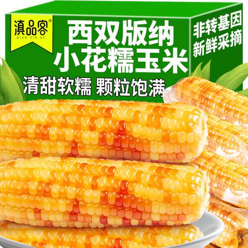 花糯玉米西双版纳傣家老品种香糯