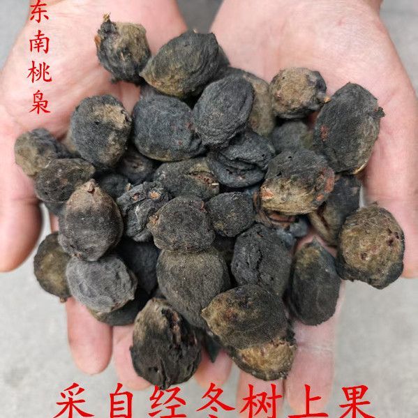 野生桃枭毛桃真正的桃枭原皮正宗毛桃核东南枝树上摘果恋枝桃桃奴