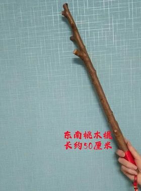 天然桃木五帝钱玄关挂件