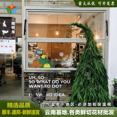 天竺少女松枝圣诞树DIY花材