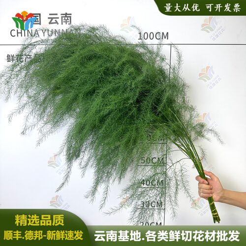 云南直发芦荨草鲜切花婚礼造景