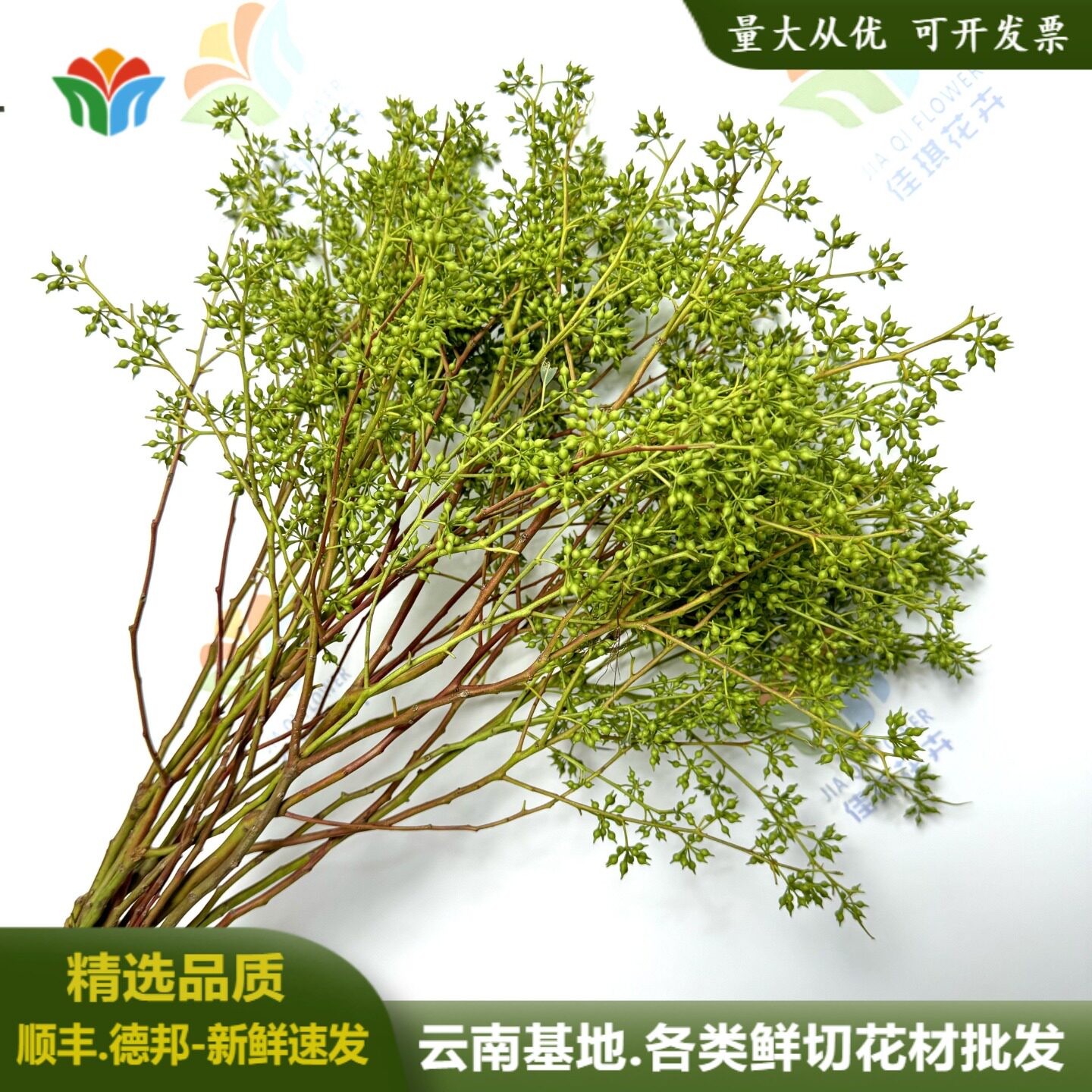 小米果叶鲜切花枝条花束插花家用水养装饰花水培绿植婚庆活动布置