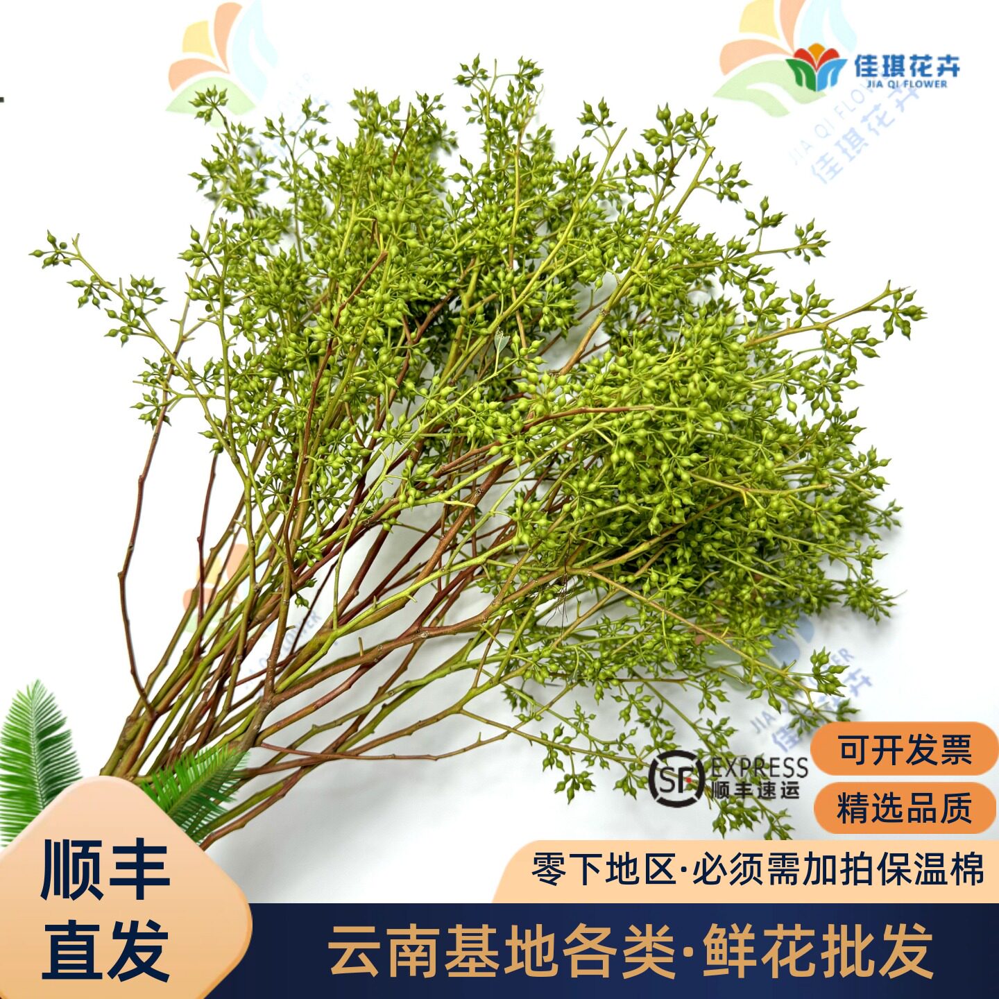 小米果叶鲜切花枝条花束插花家用水养装饰花水培绿植婚庆活动布置