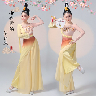 古典舞蹈服女飘逸成人女套装寒依疏影表演服中国舞剧目演出服服装