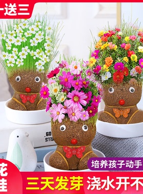 长草娃娃开花草头娃娃创意头上长草花卉可爱幼儿园室内趣味小盆栽