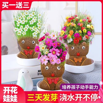 长草娃娃开花草头娃娃创意头上长草花卉可爱幼儿园室内趣味小盆栽