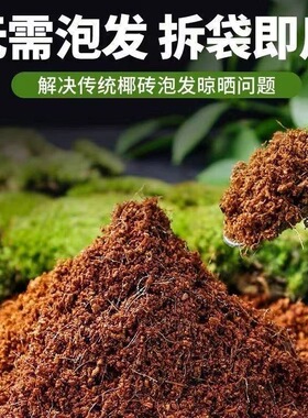 寄居蟹湿椰土苔藓免泡土饲养用品营养土爬宠蜗牛保湿保温新手垫材