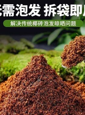 寄居蟹湿椰土苔藓免泡土饲养用品营养土爬宠蜗牛保湿保温新手垫材