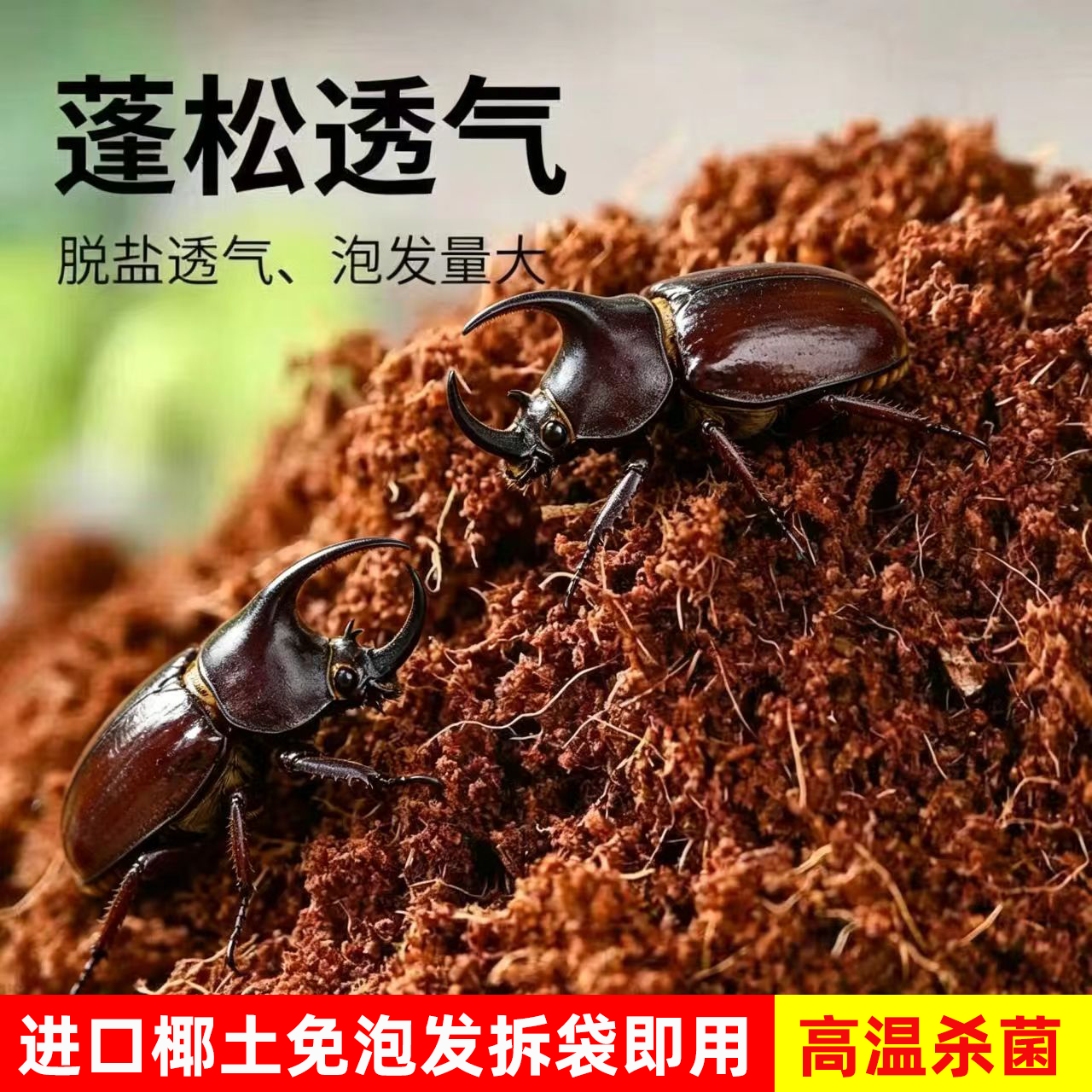 甲虫爬宠通用无菌免泡不粘身椰土