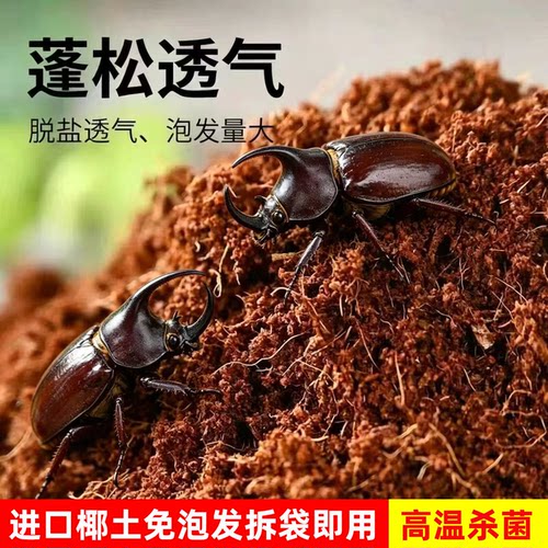 甲虫爬宠通用无菌免泡不粘身椰土