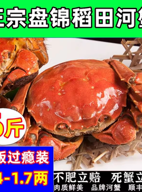 盘锦河蟹稻田河蟹顺丰礼盒