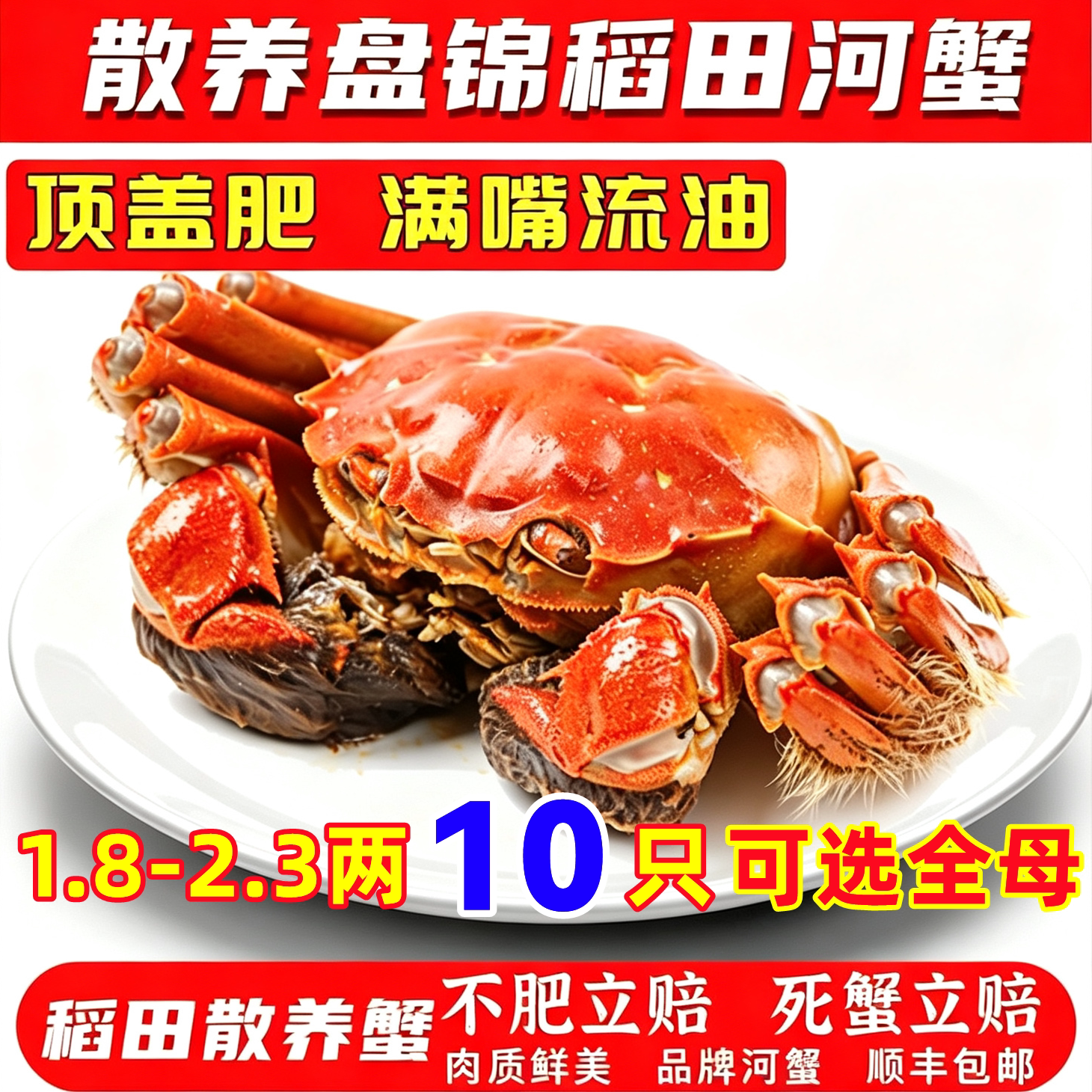 盘锦河蟹2两母满黄鲜活稻田蟹