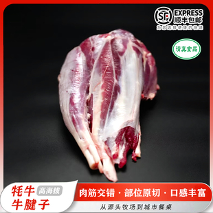 务实清源牦牛牛腱子新鲜牛肉 4斤整块牛肉清真食品