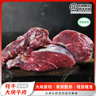 务实清源牦牛大块牛肉甘肃正宗新鲜牦牛肉清真食品 1,5KG