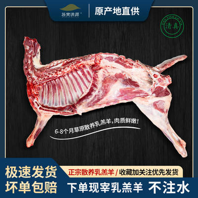 新鲜羊肉半只10斤羊羔肉草原散养