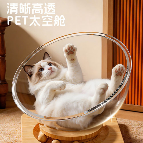 超大夏季转盘玩具猫床一