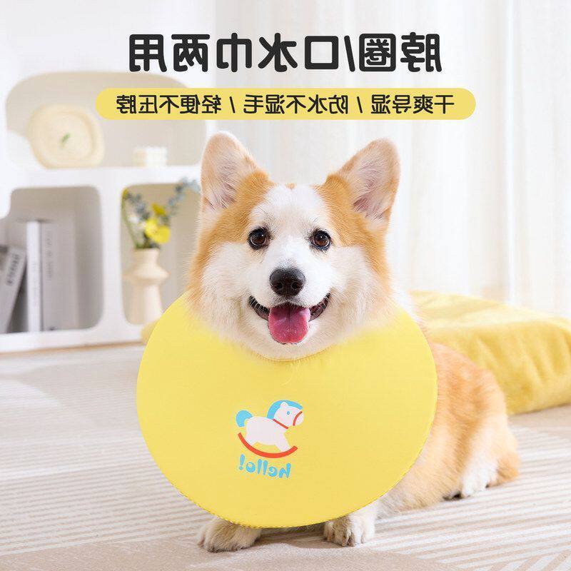 新款狗狗口水巾中小型犬围脖宠物