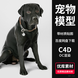 C4D动物宠物狗模型3D建模Octane渲染带材质贴图海报合成设计素材