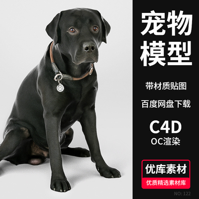 C4D动物宠物狗模型3D建模Octane渲染带材质贴图海报合成设计素材
