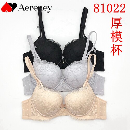 AERENEY爱亦心伊法式性感蕾丝内衣AB杯女小胸聚拢软钢圈文胸81022