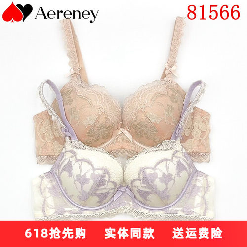 AERENEY爱亦心伊法式性感蕾丝内衣AB杯女小胸聚拢软钢圈文胸81566