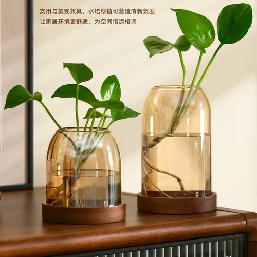 复古玻璃小花瓶家用电视柜水培插花器摆件办公室桌面精致绿植花盆
