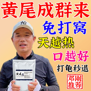 野钓黄尾单开黄尾鱼野钓专用饵料腥味通杀黄尾红尾钓鱼饵料诱鱼剂
