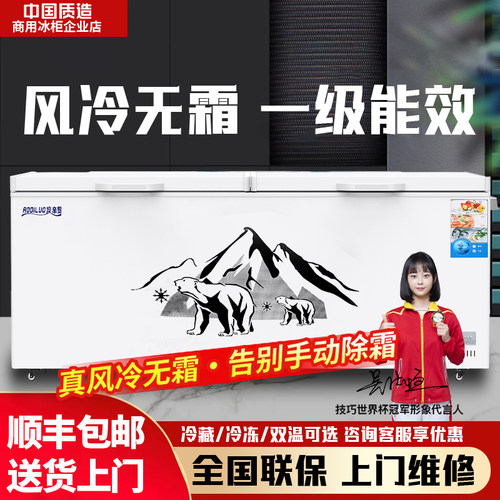 卧式无霜一级能效商用冷冻大冰柜