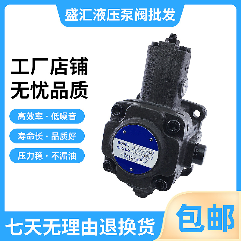 全新液压系统油泵VE1-45F-A3 VE1-45F-A2电动高压变量叶片泵包邮
