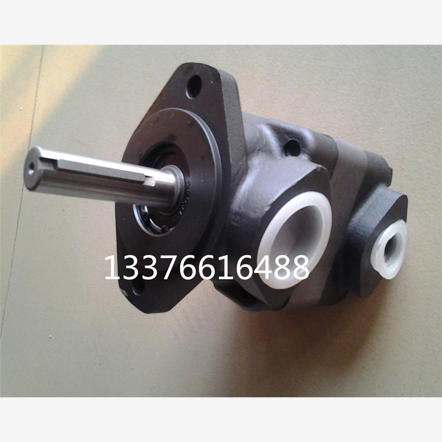 全新注塑机叶片泵V20-1P11P-1C油泵v20-1p-9p-1B V20-1P13P液包邮