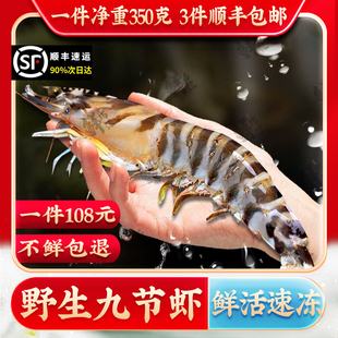 野生斑节虾新鲜活冻海鲜水产特大九节虾深海蓝尾明虾