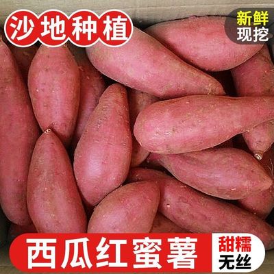 新鲜现挖现发沙地西瓜红薯蜜薯软现挖山芋板栗红薯水果蔬菜农家