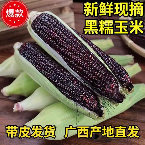 黑糯玉米新鲜玉米无糖低脂红宝石玉米农场直发原产代餐甜嫩苞米粒