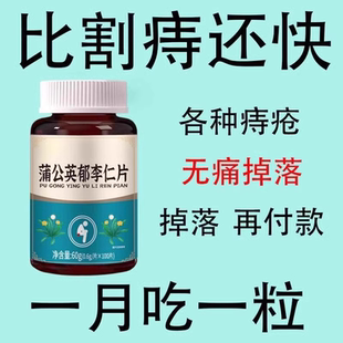 【睡前两粒 男女通用】长年痔疮久坐瘙痒疼痛蒲公英郁李仁草本片