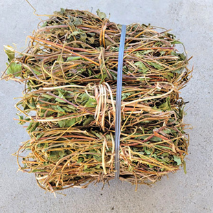 江西野生金银花藤冲凉产后晒干坐做月子忍冬藤婴儿泡脚药草中药材