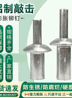 敲击式铝铆钉击芯铆钉膨胀螺丝击打铆钉膨胀卡扣子母铆钉花蓬帐钉