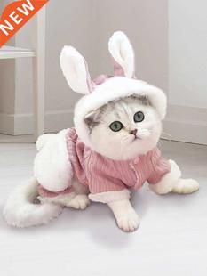 Cat Clothes Kittens Kitten Pet Anti-Lint Cute Ragdoll Cat