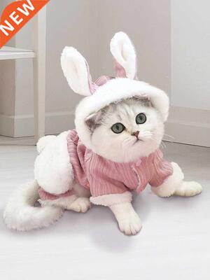 Cat Clothes Kittens Kitten Pet Anti-Lint Cute Ragdoll Cat